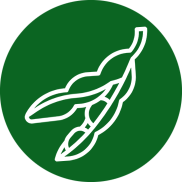 Icono Soja